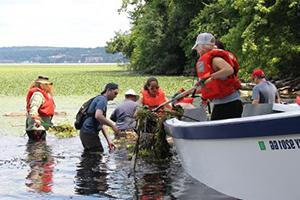 Students and Professor Shane Rogers doing research in the water with Beacon Institute. 